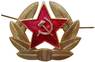 Soviet soldier insignia