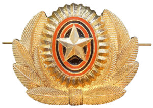 Army officer winter hat insignia Current issue