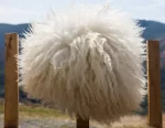 Shaggy sheepskin fur hat. White or Black